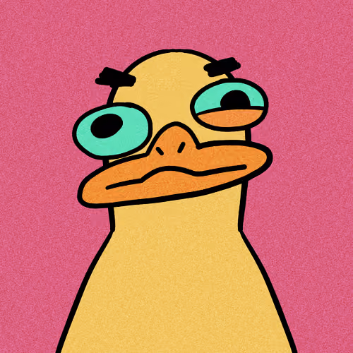 no particular reason collection image