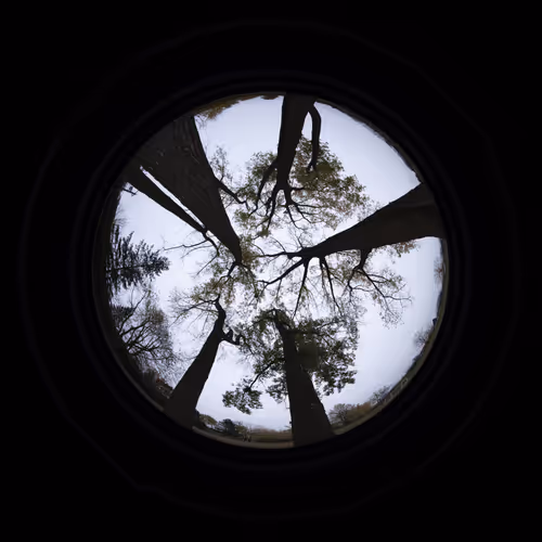 No Query Left Behind