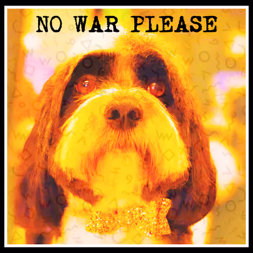 NO WAR NOW - NO WAR EVER - old