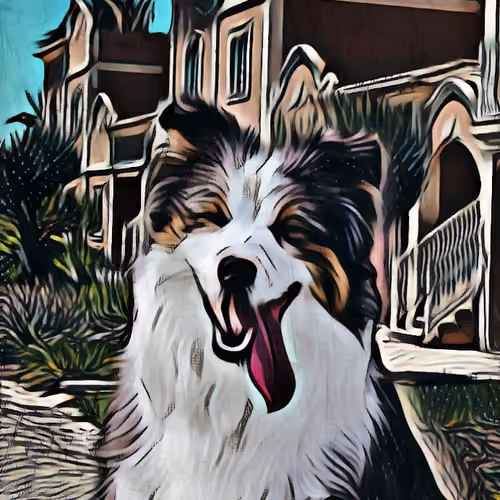 Noah"s Art