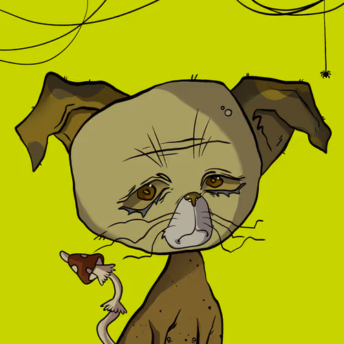 No Cash Cats