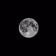 Nocturna - B&W Photography