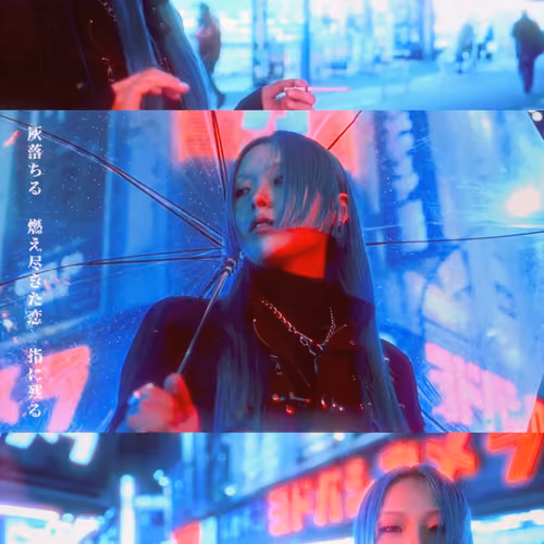 Nocturnal | 夜想