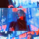 Nocturnal | 夜想
