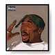 Noeyez Collection 2.0