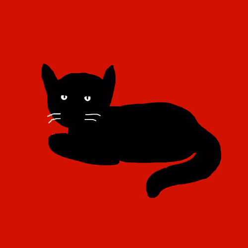 Noir Cat