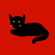Noir Cat