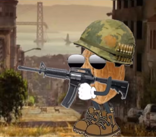 Noix de deeZ