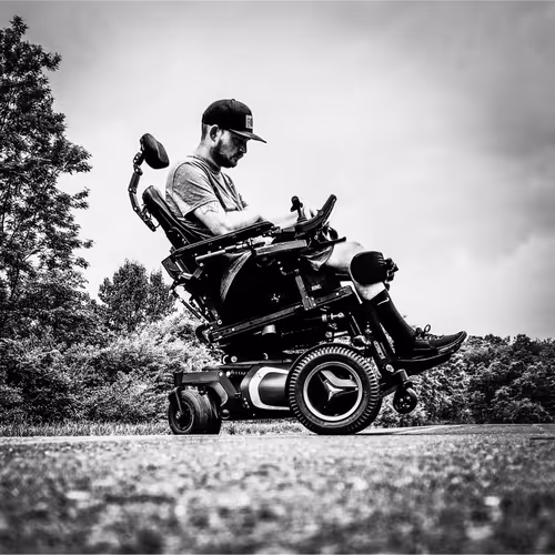 Flight Takes Many Forms