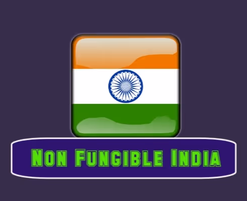 Non Fugible India