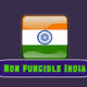 Non Fugible India