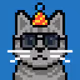 Non Fungible Cats