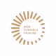 NON FUNGIBLE TRIBUNE - old