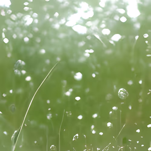 Nonexistent landscapes