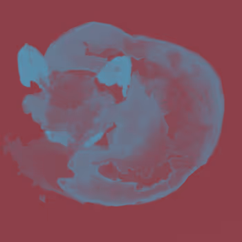 Northly Forest - old