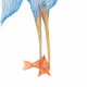 Not_A_Kat Birbs