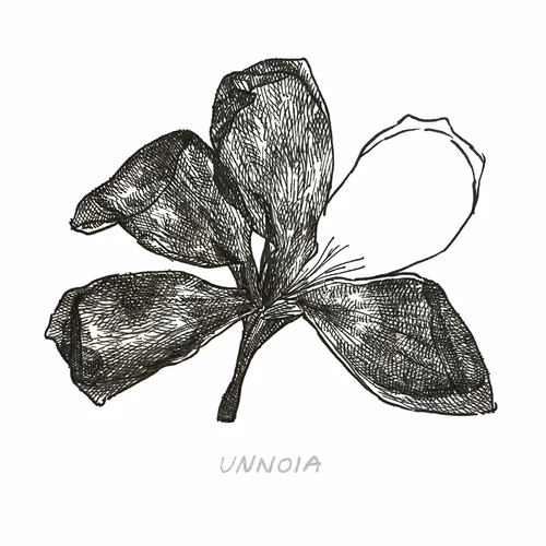 "Nothing Is Missing" Flower 1