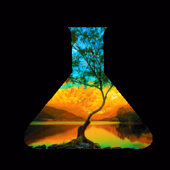 Stages of a Nova Tree