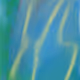 NTHCL