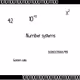 number systems