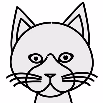 nyangle poket collection