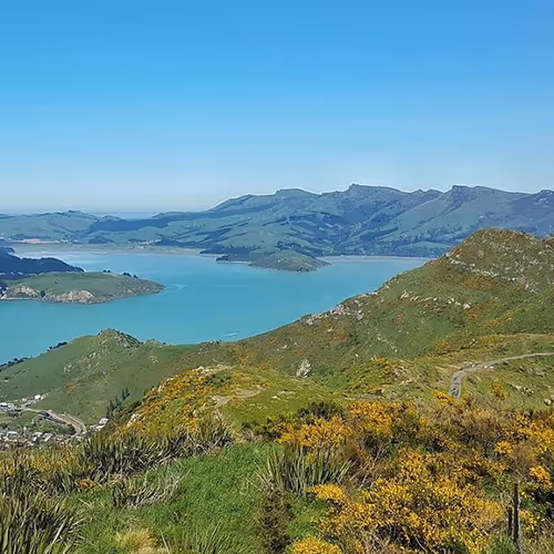 New Zealand Landscape Photography Collection