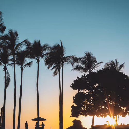 Oak's Photography Editions - old