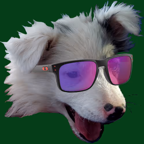 Oakleythedog Collection