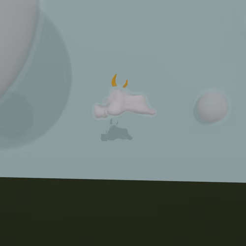 obiectum