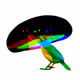 Obscure Birds