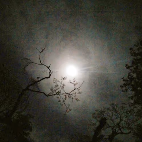 Observations #2 (Skies)