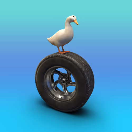 Out of Context Duck - old