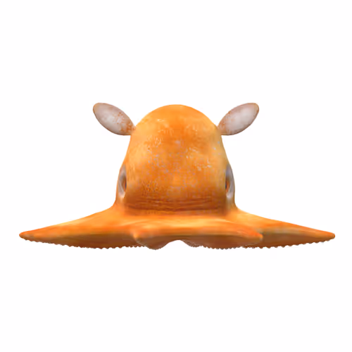 Ocean Sea Life - old