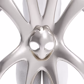 Octopus Fashion Collection