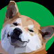 Odd Poly Doge