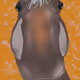 of horse
