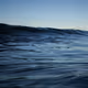 of the water