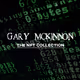 Official Gary McKinnon - old