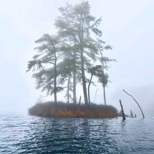 Of the Natural - old