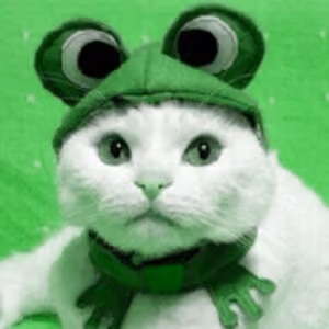 OG CAT