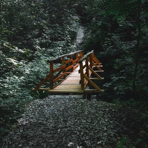Real World Nature Collection - old