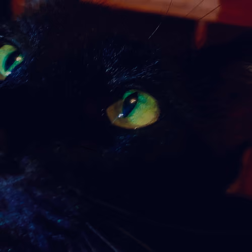 Eyes Within