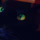 Eyes Within