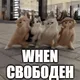 ogokryto123