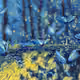 Oil-paint collection