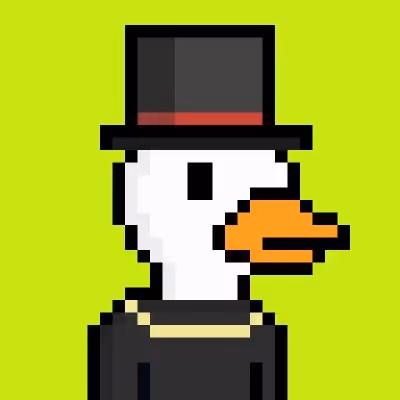 Ok Ducks
