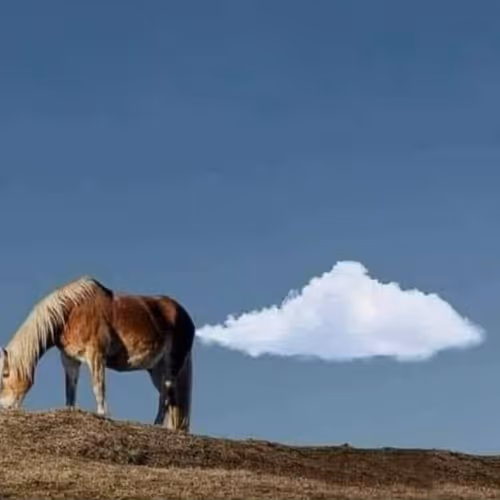 Oligel passions and hobbies