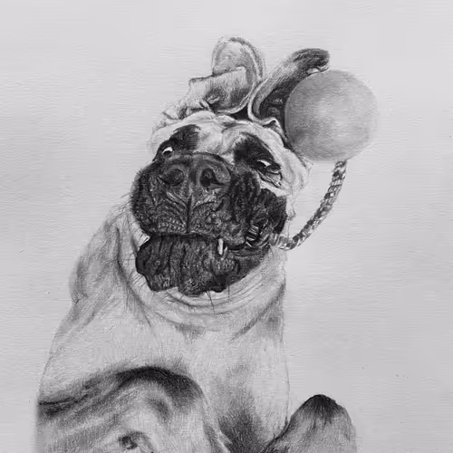 OliverNFT Collection - old