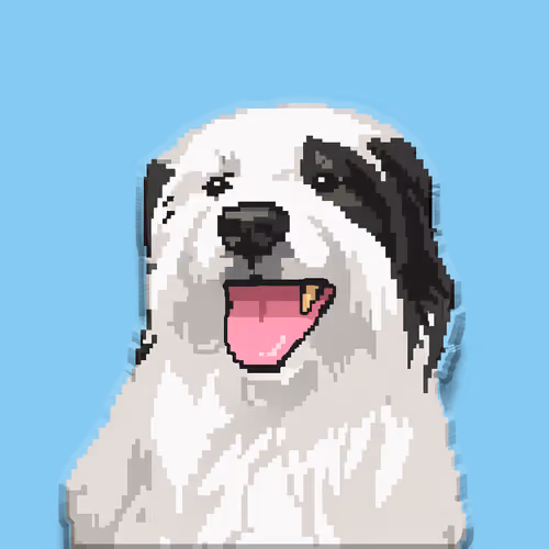 Ollie!