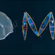 OMSeized